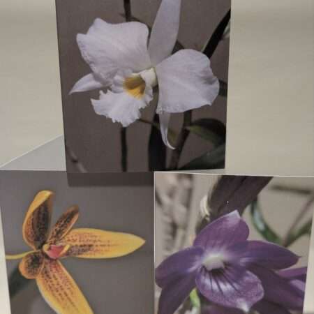 Set of six orchid greetings cards