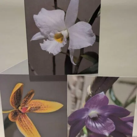 Set of six orchid greetings cards