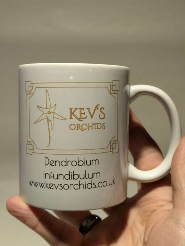 Dendrobium infundibulum Mug - Image 2